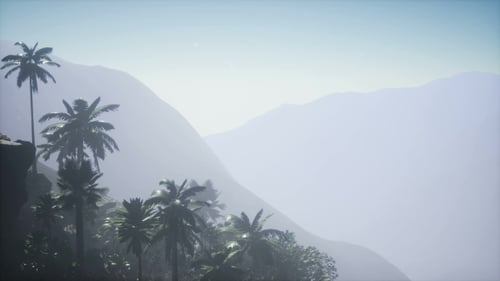 Misty Tropical Mountains Landscape with Serene Palm Trees