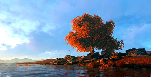 Tree In Autumn Weather
