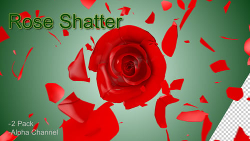 Rose Shatter