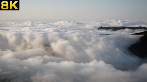 Clouds Over the Forest