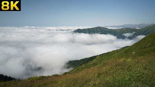 Meadow Over Clouds