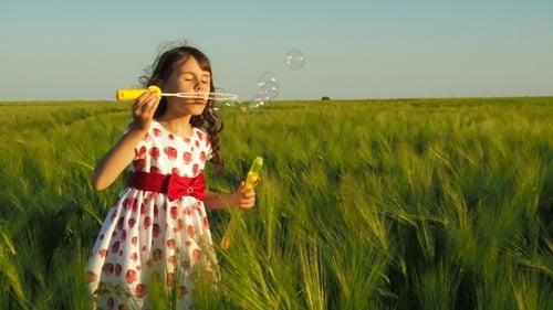 A Child with Soap Bubbles on a Wheat Field.