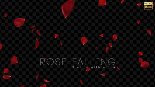 Romantic Falling Rose Petals Alpha Channel Overlay