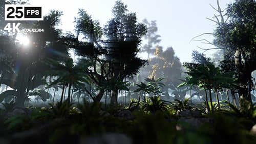 Jungle Forest Landscape with Sun Rays