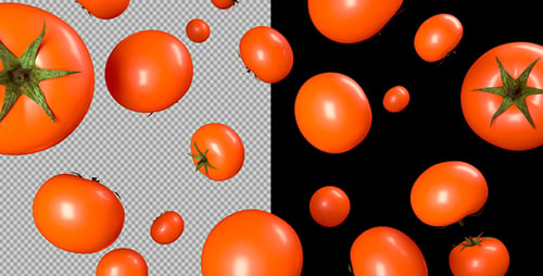 Animated Floating Red Tomatoes Seamless Loop