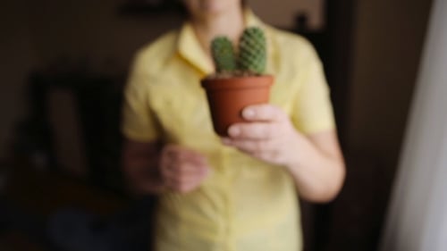 Woman Florist Hand Holding Cactus in Pot at Home