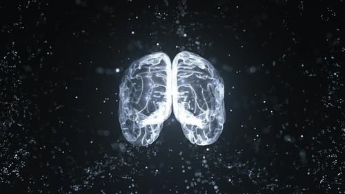 Futuristic Digital Brain with Glowing Particles Rotating