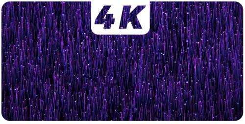 Abstract Glowing Purple Lines Digital Flow Background