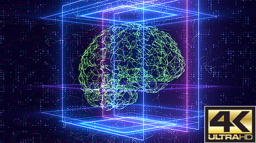 Plexus Brain Loop Background