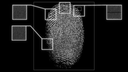 Biometric Fingerprint Scan and Data Analysis Reveal