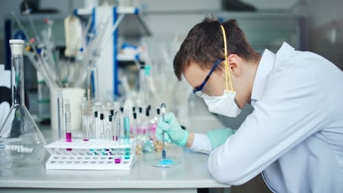 Scientist Working with Petri Dish in Laboratory