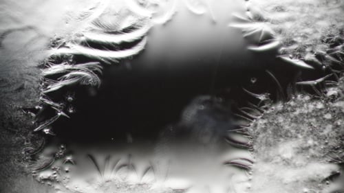 Abstract Ice Crystals Forming in Monochrome Macro Shot