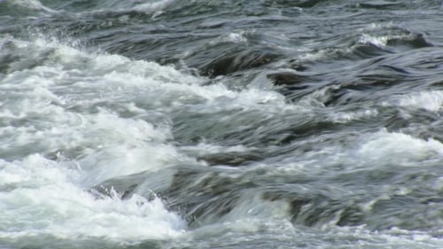 Rapid Flow of Mountain River, of Flowing Water in Sunny Day