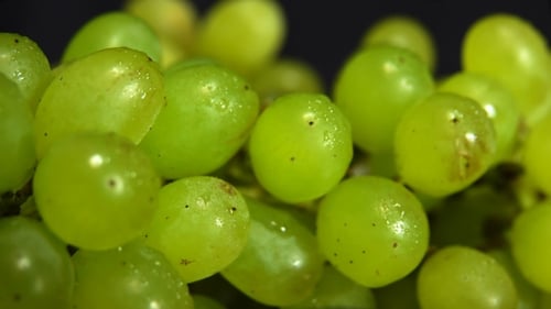 Berries of Green Grapes in Drops of Water
