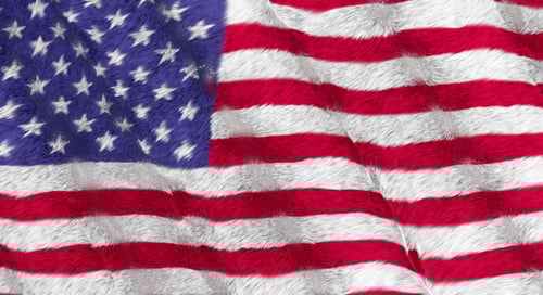 Waving American Flag with Unique Fur Texture
