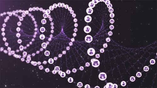 Réseau social DNA Gene