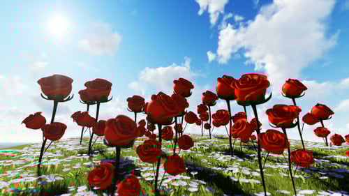 Romantic Field of Swaying Red Roses and Daisies Under Blue Sky