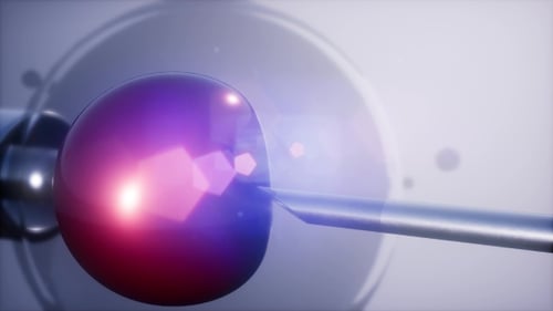 Artificial Insemination