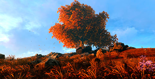 Autumn Tree And Fallen Leaves