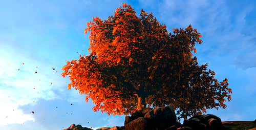 Autumn Leaf Fall And Autumn Tree