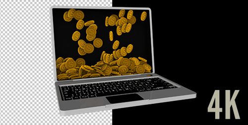 Dollar Computer