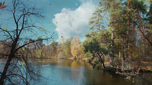 Realistic Four Seasons Transformation Over a Forest Lake