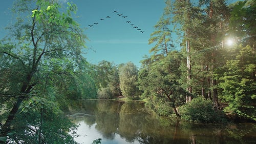 Four Seasons Short Version