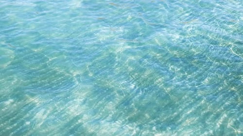 Sea (4K)