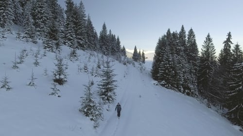 Person Walking Through Snow Forest on Winter Day