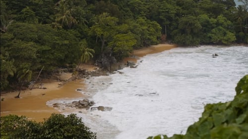 Ocean Wave and Tropical Island