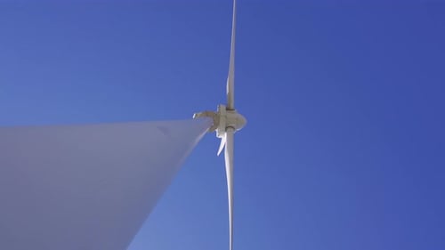 Tribune Propeller.