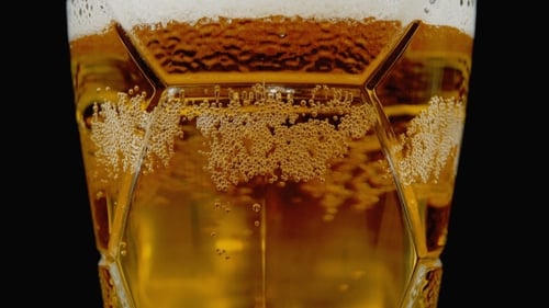 Fresh Beer in a Glass Mug with Bubbles