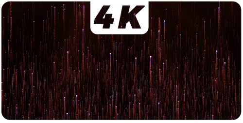 Fly Particles