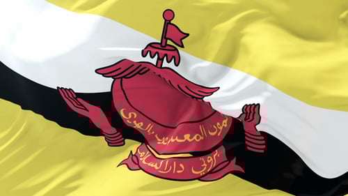 Brunei Darussalam National Flag Waving Seamless Loop