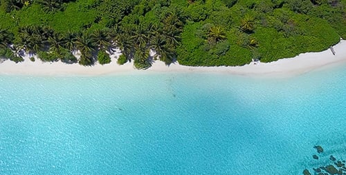 Pristine Tropical Island with White Sandy Beach and Coconut Trees