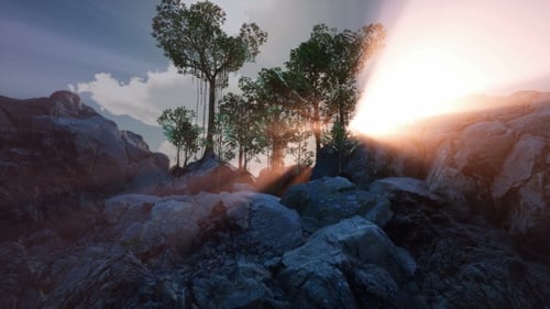 Raios de sol através das árvores