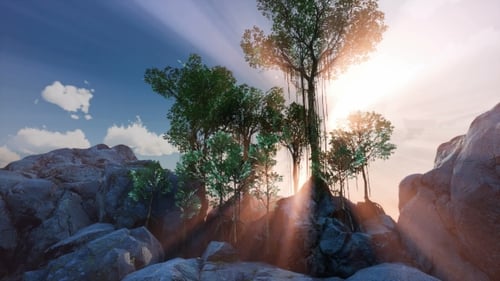 Sun Beams Through Trees