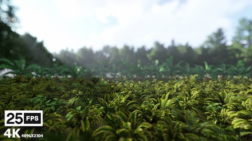 Lush Tropical Foliage in a Vibrant Green Forest Environment