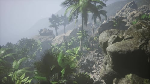 Misty Tropical Mountain Panorama with Swaying Palm Trees
