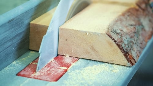 Cutting Wood at a Wood Factory. Clips of Sawing Wood