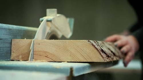 Cutting Wood at a Wood Factory. Clips of Sawing Wood