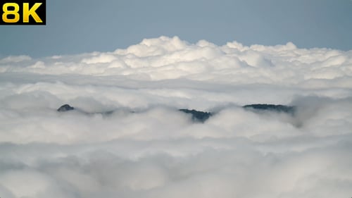 Wolken bedecken den Regenwald