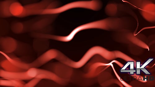 Elegant Red Flowing Particles Background