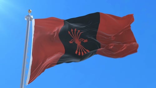 Drapeau de la Falange Española de la JONS