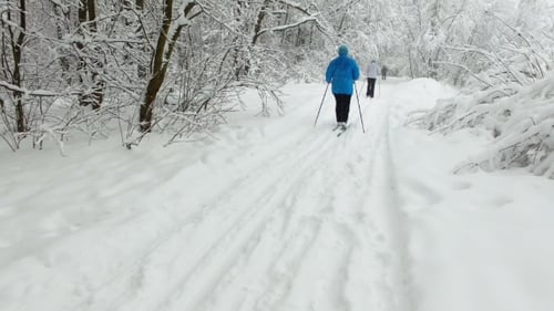 Tourists Skiing in the Park in the Snow