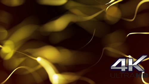 Elegant Gold Flowing Particles Background