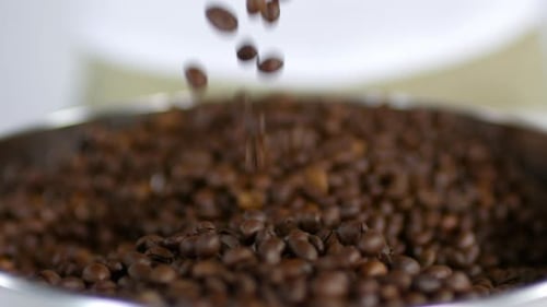 Kaffeebohnen fallen