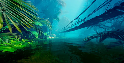 Suspension Bridge In The Jungle