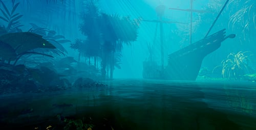 Vieux Navire Dans La Jungle