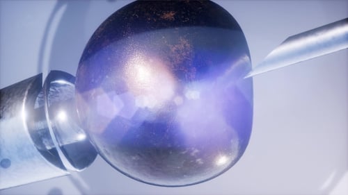 Artificial Insemination